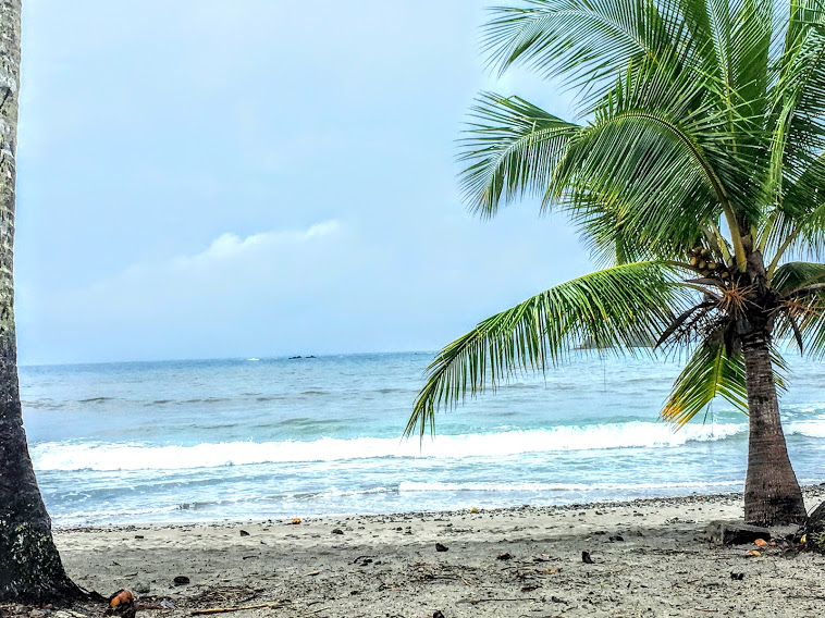 Parque Nacional Manuel Antonio, Quepos, Costa Rica