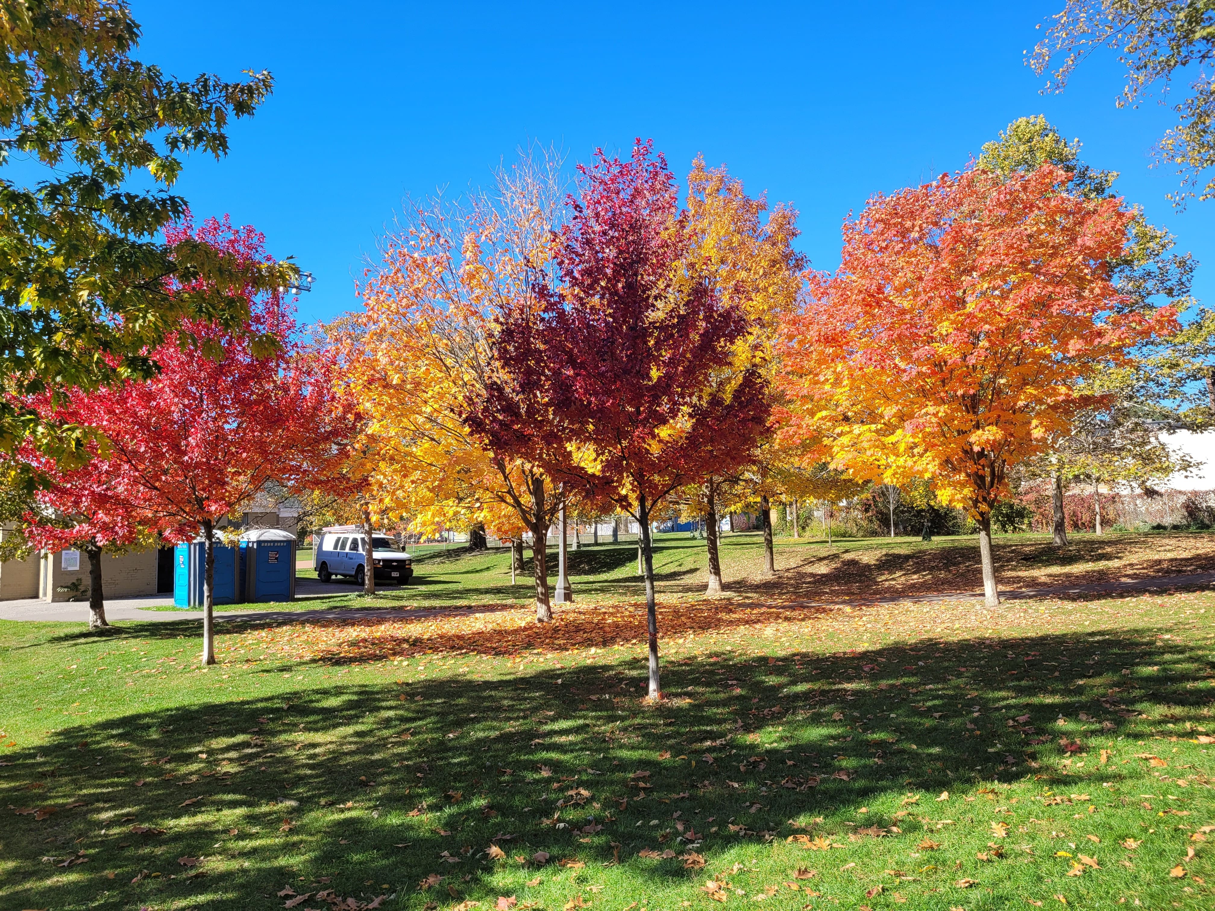 trinity-bellwoods-park-toronto-travel-addict-hack